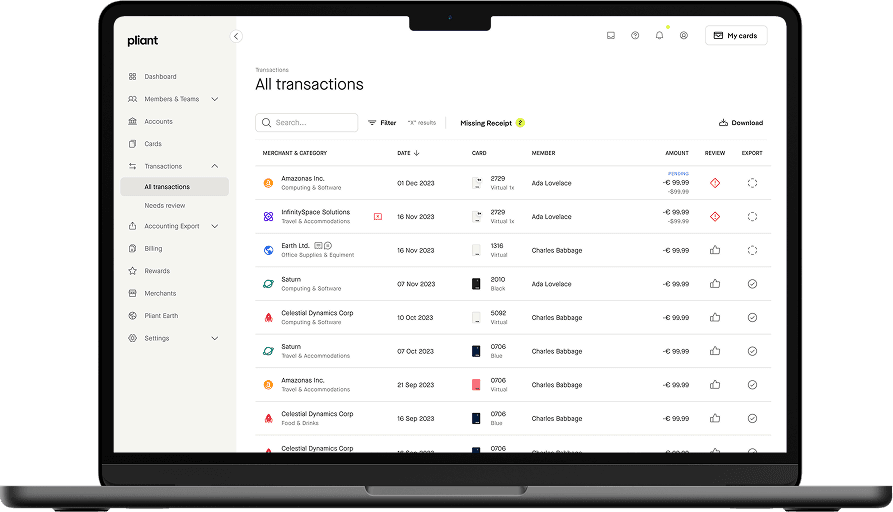 Transactions view in Pliant web app dashboard